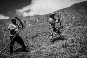 Ushguli | Svaneti | Stefan Applis