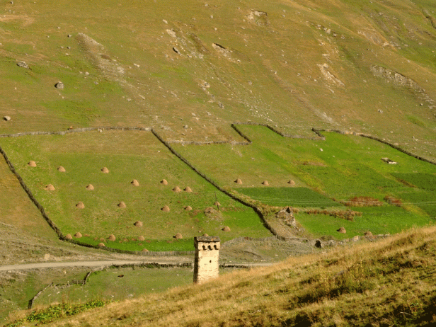 Landwirtschaft in Ushguli: Blick auf die Heumahd | Hauhaufen am Hang | Stefan Applis