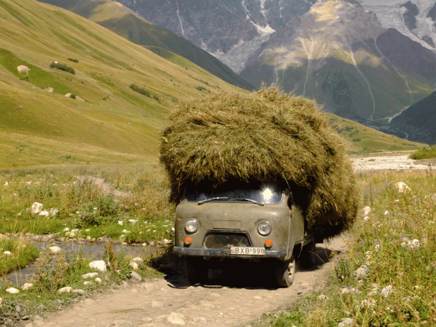 Landwirtschaft in Ushguli: Transport des frisch geschnittenen Heus im Herbst mit einem UAZ-452 | Stefan Applis