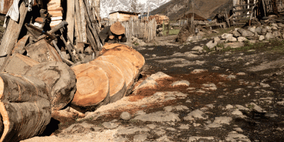 Holzlieferung in Ushguli | Swanetien | Ein Stamm wird geschnitten | Stefan Applis