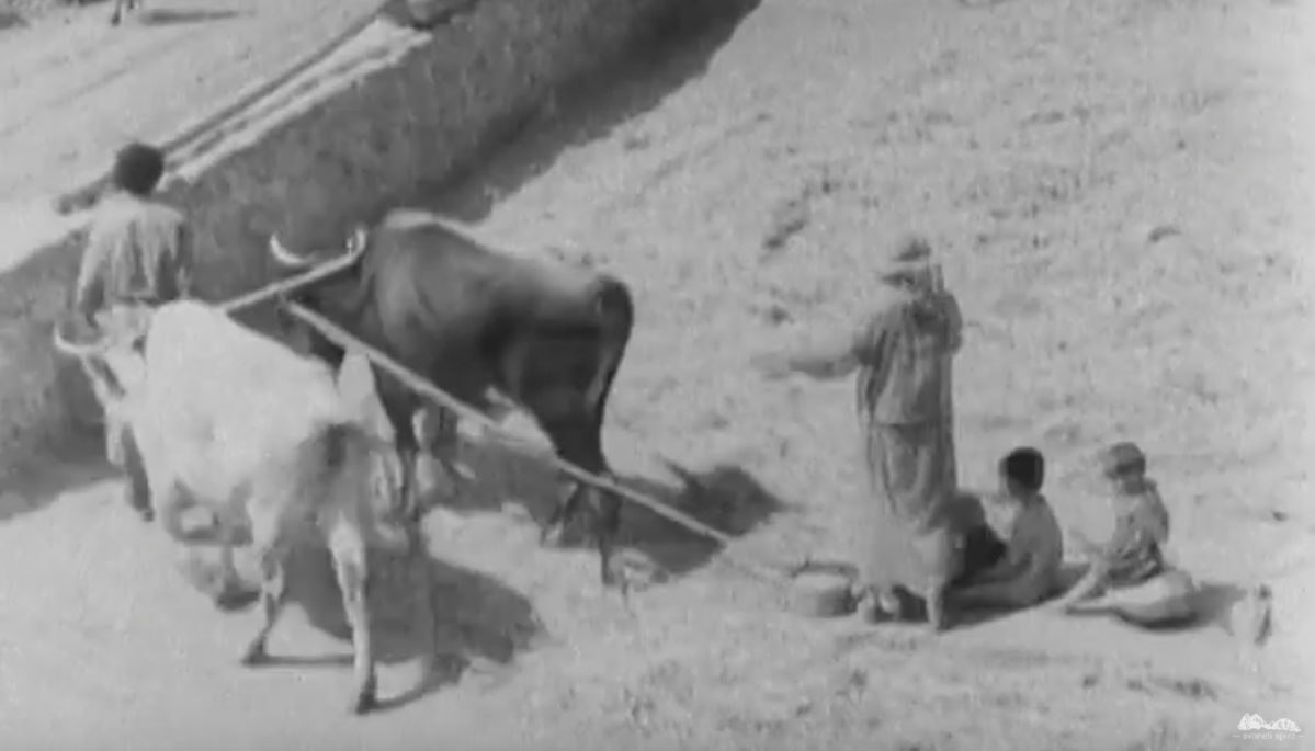 Eindrücke aus dem Swanetien (Georgien) der frühen Sowjetzeit im Film&nbsp;(1940-1950)