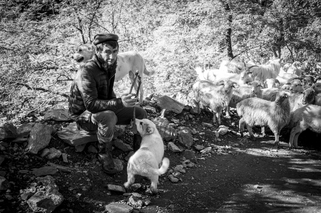 Tuschetien | Wolle – Vom Rücken der Schafe auf die Rücken der&nbsp;Schäfer